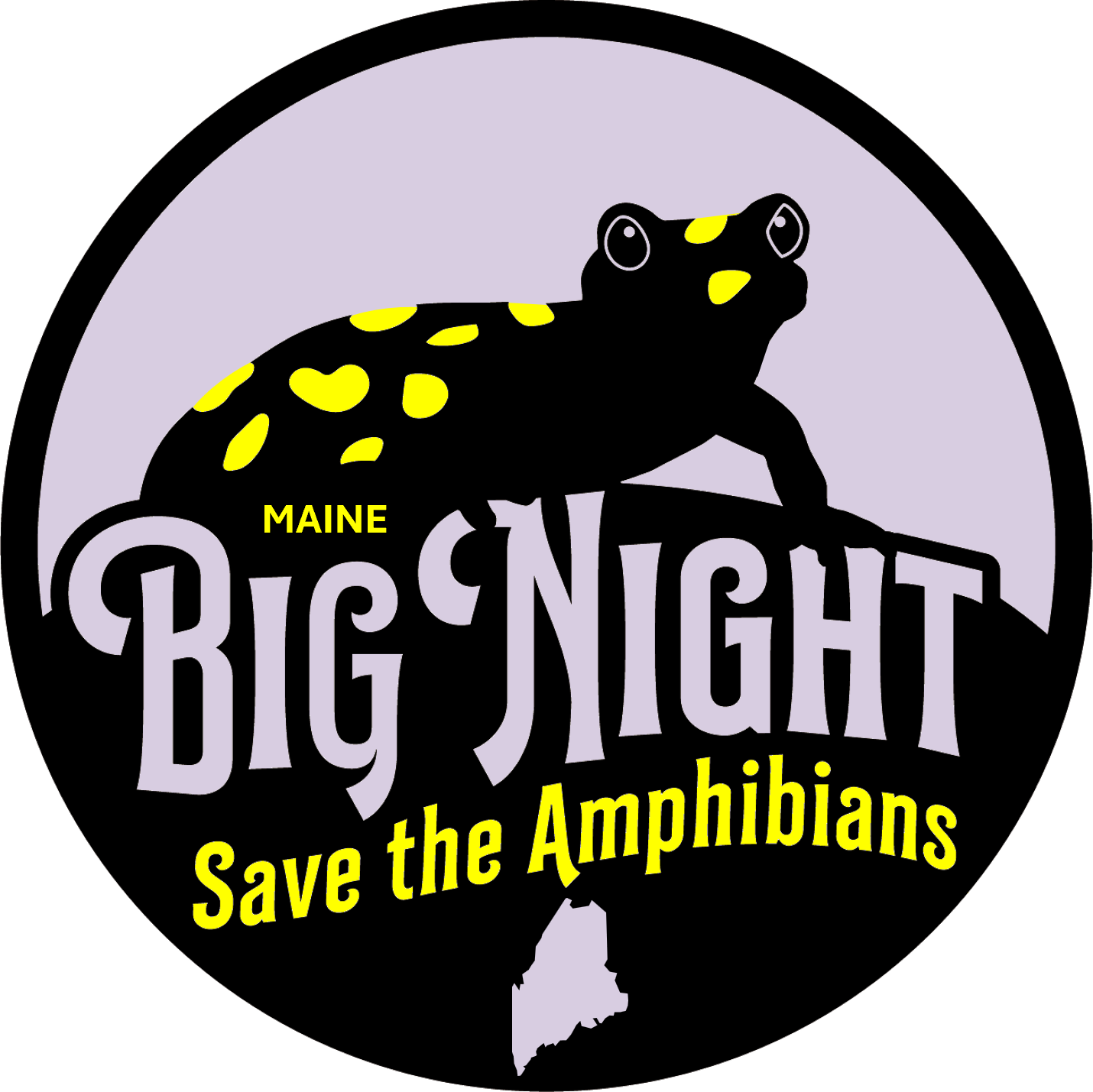 Maine Big Night: Amphibian Migration Monitoring